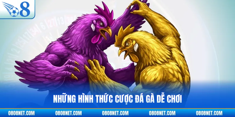Những hình thức cược đá gà dễ chơi