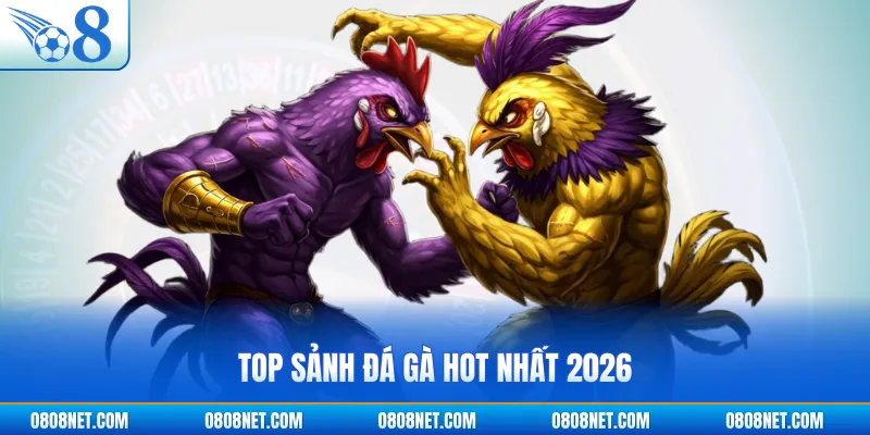 Top sảnh đá gà hot nhất 2026